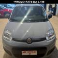 usato FIAT Panda