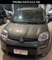 usato FIAT Panda