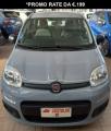 usato FIAT Panda