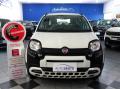 usato FIAT Panda