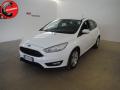 usato FORD Focus