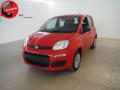 usato FIAT Panda