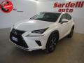 usato LEXUS NX 300