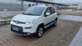 usato FIAT Panda