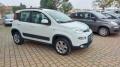 usato FIAT Panda