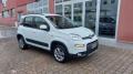 usato FIAT Panda