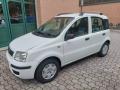 usato FIAT Panda