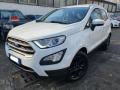 usato FORD EcoSport