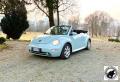 usato VOLKSWAGEN New Beetle Cabrio