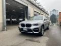 usato BMW X3