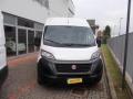 usato FIAT Ducato