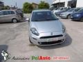 usato FIAT Punto