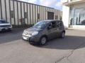 usato FIAT Panda