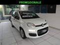 usato FIAT Panda