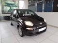 usato FIAT Panda