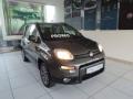 usato FIAT Panda