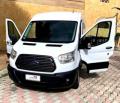 usato FORD Transit